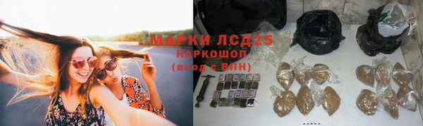 мдпв Ленинск