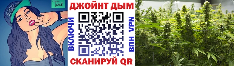 Бошки марихуана ГИДРОПОН  блэк спрут вход  Судогда 